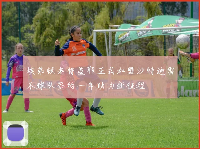 埃弗顿老将盖耶正式加盟沙特迪雷禾球队签约一年助力新征程