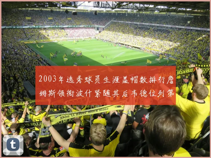 2003年选秀球员生涯盖帽数排行詹姆斯领衔波什紧随其后韦德位列第五